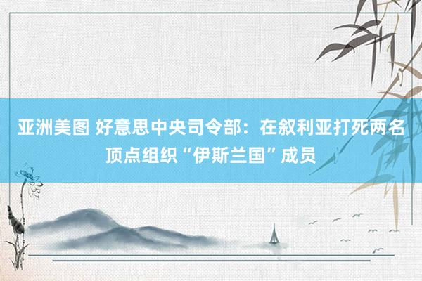 亚洲美图 好意思中央司令部：在叙利亚打死两名顶点组织“伊斯兰国”成员