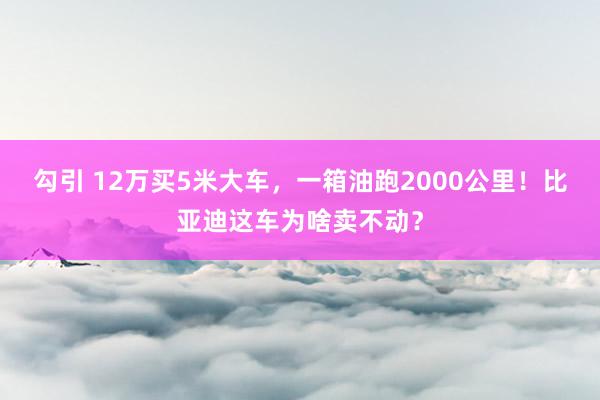 勾引 12万买5米大车，一箱油跑2000公里！比亚迪这车为啥卖不动？